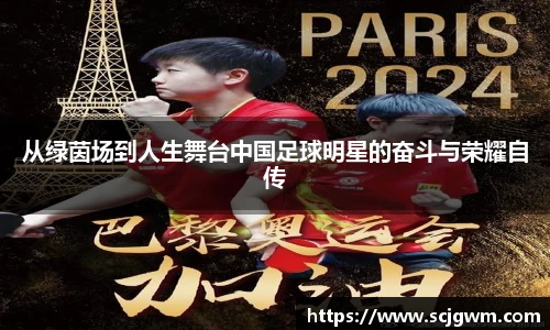 从绿茵场到人生舞台中国足球明星的奋斗与荣耀自传