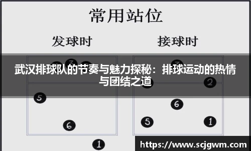 武汉排球队的节奏与魅力探秘：排球运动的热情与团结之道